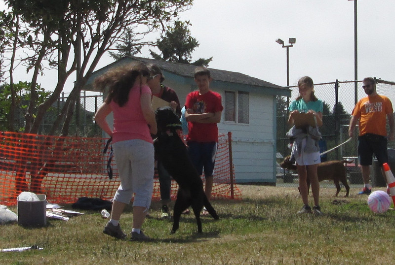 DoggieEvent2016_AnnabelleandGDancing