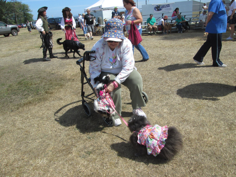 DoggieEvent2016_Dressed-upDoggies