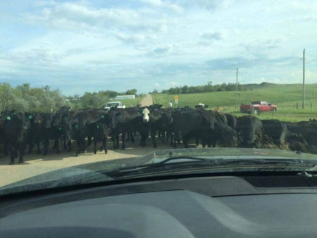 blacklivesmatterinWyoming